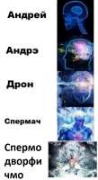 424x772