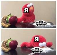 720x695