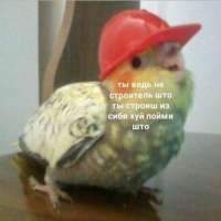 500x500