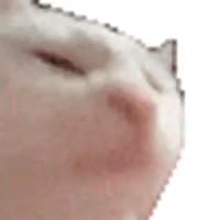 240x240