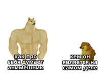 720x554