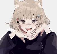 2048x1962