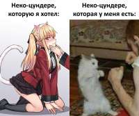 1280x1069