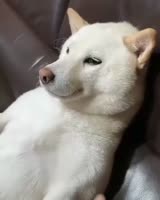 640x800