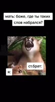 464x848