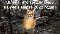 1280x720