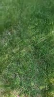 360x640