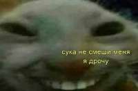 635x419