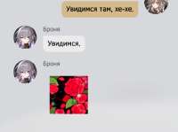633x473