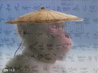 486x360