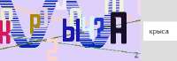 333x116
