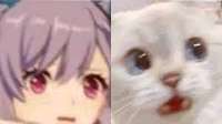 300x168