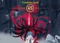 991x713