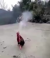 310x360
