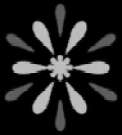 122x135