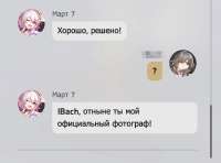 906x673