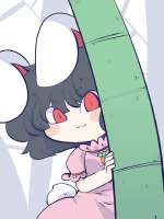 850x1133