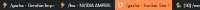 545x29