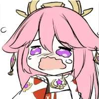 736x736