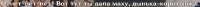743x29