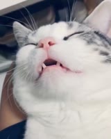 640x800