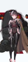 498x1080