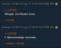 295x233