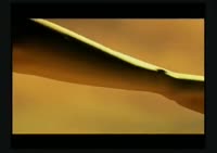 508x360