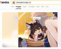 556x451