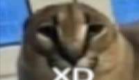 692x401