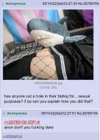 640x893