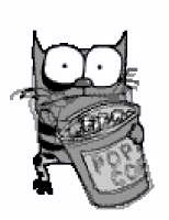 492x638