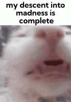 348x498