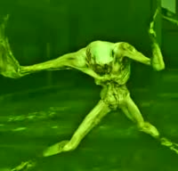 498x480