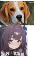 209x274