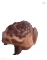 720x918