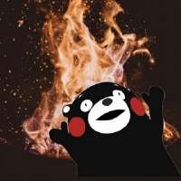 320x320