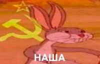 480x308