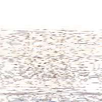 200x200