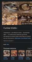 377x727