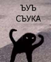 369x447
