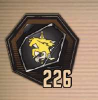 240x244