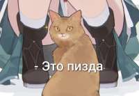 821x568