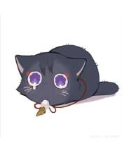 706x807