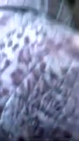 202x360