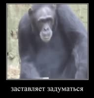 306x320