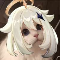 736x736