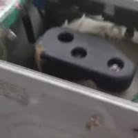 480x480