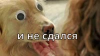 1280x720
