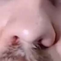 264x264